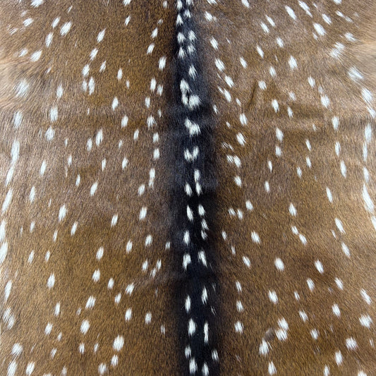 Axis Deer Skin (good quality/ a few small holes) Size: 45x35" Axis-778