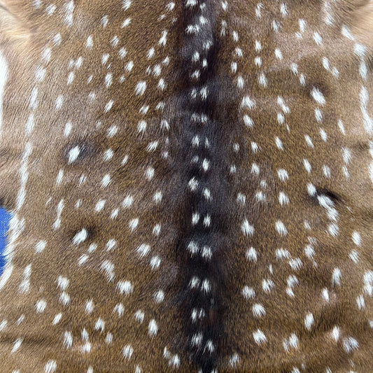 Axis Deer Skin (good quality and soft) Size: 42x37" Axis-779
