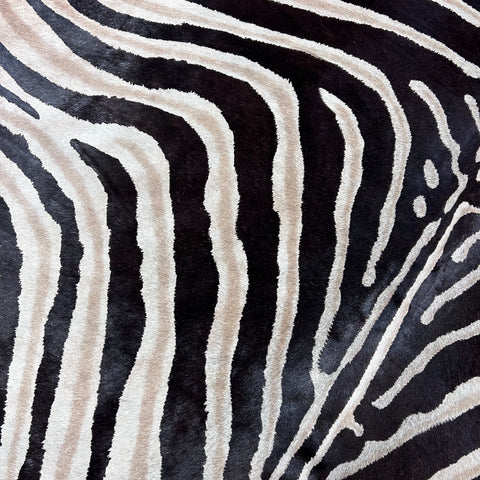 Genuine Zebra Cowhide Rug Size: 7.2x6 feet D-743