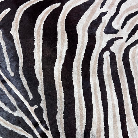 Genuine Zebra Cowhide Rug Size: 7.2x6 feet D-743