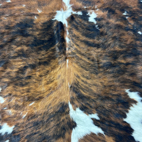 Tricolor Cowhide Rug (35.5 sq ft/ Longish hair) Size: 6.5x6.2 feet Colombia-167