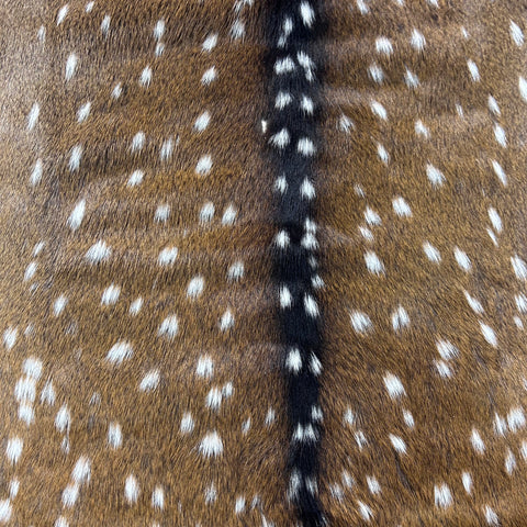 Axis Deer Skin Size: 37x35" Axis-762