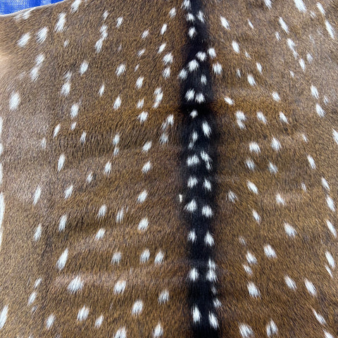 Axis Deer Skin Size: 37x35" Axis-762