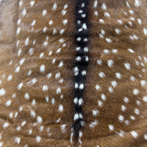 Axis Deer Skin Size: 39x37" Axis-763