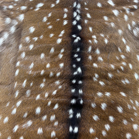 Axis Deer Skin Size: 39x37" Axis-763