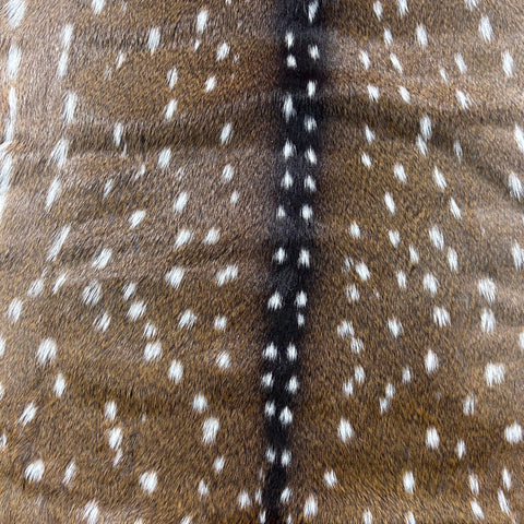 Axis Deer Skin Size: 45x35" Axis-764