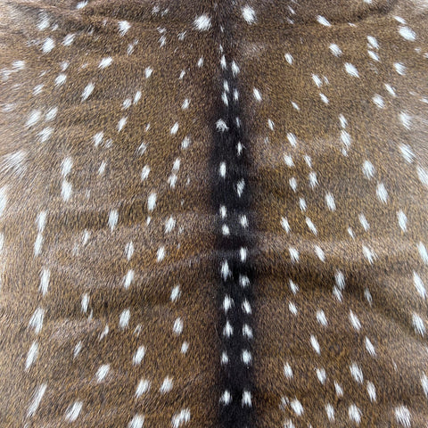 Axis Deer Skin Size: 45x35" Axis-764