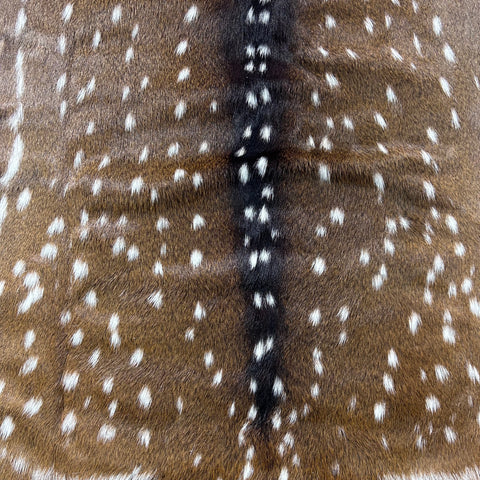 Axis Deer Skin Size: 42x38" Axis-765