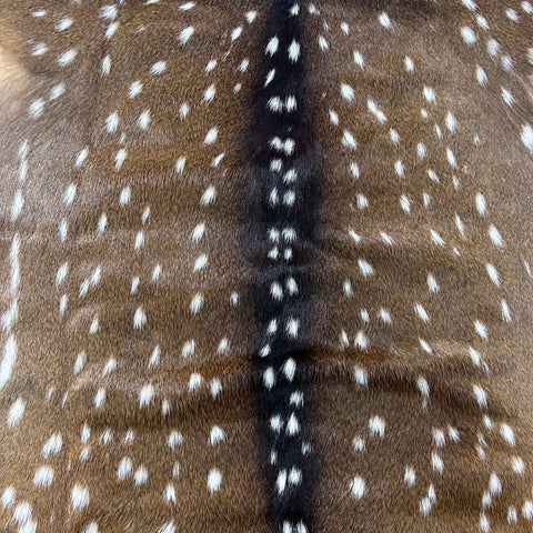 Axis Deer Skin Size: 42x38" Axis-765