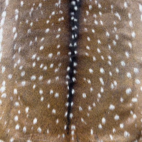 Axis Deer Skin Size: 39x37" Axis-766