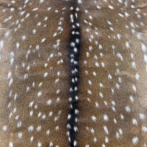 Axis Deer Skin Size: 39x37" Axis-766