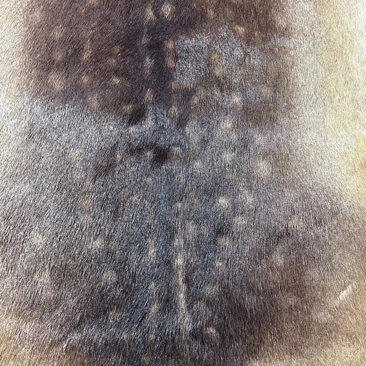 Fallow Deer Skin D-746