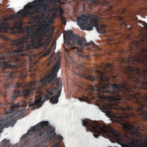 Tricolor Cowhide Rug Size: 7.2x6.2 feet D-750