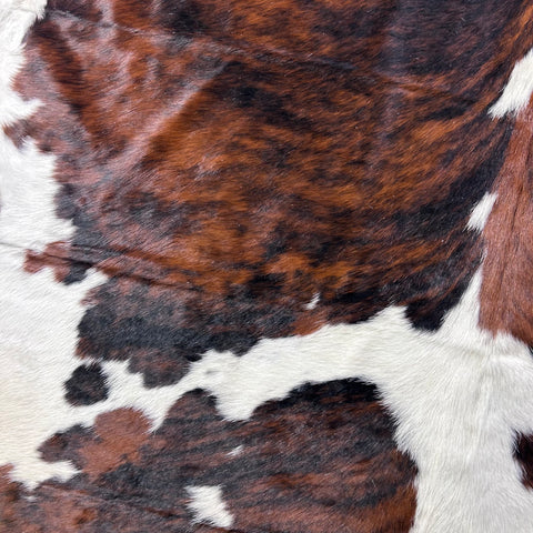 Tricolor Cowhide Rug Size: 7.2x6.2 feet D-750