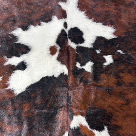 Tricolor Cowhide Rug Size: 7.2x6.2 feet D-750