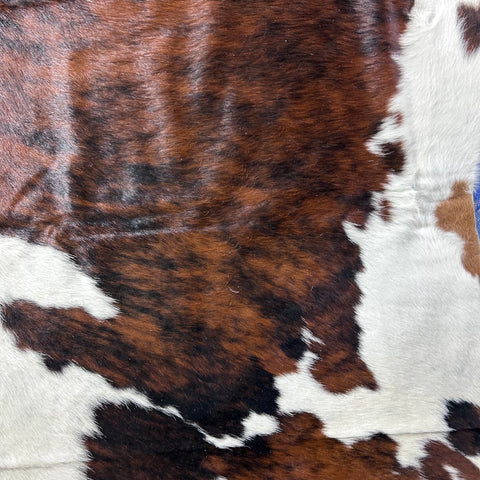 Tricolor Cowhide Rug Size: 7.2x6.2 feet D-750