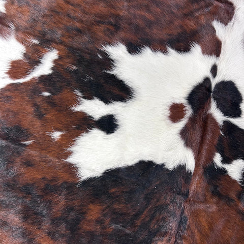 Tricolor Cowhide Rug Size: 7.2x6.2 feet D-750