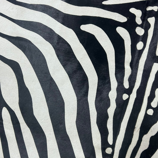 African Zebra Cowhide Rug Size: 7x5.5 feet Z-231