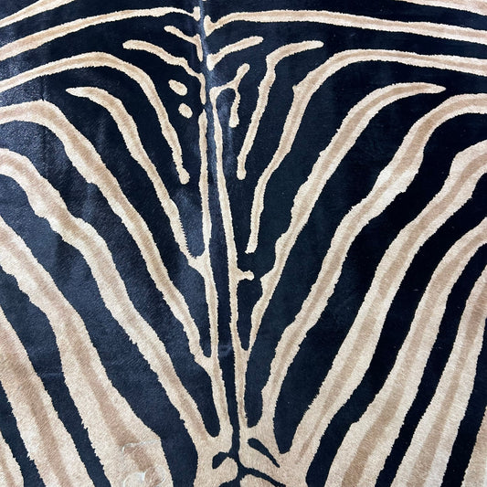 Genuine Zebra Print Cowhide Rug (black inner stripes and brown outer stripes) Size: 7x5.5 feet Z-235