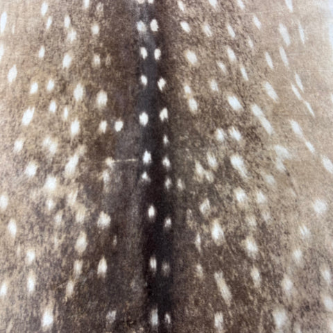 Axis Deer Printed Cowhide Rug (1 patch) Size: 7x6 feet Z-087