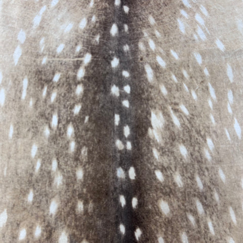 Axis Deer Printed Cowhide Rug (1 patch) Size: 7x6 feet Z-087