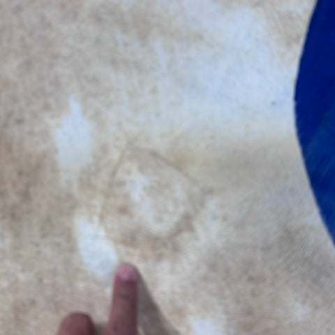 Axis Deer Printed Cowhide Rug (1 patch) Size: 7x6 feet Z-087