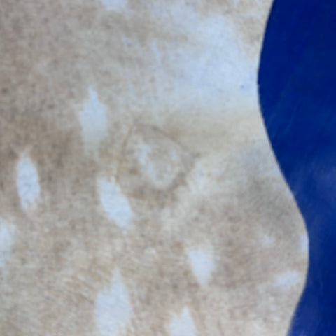 Axis Deer Printed Cowhide Rug (1 patch) Size: 7x6 feet Z-087