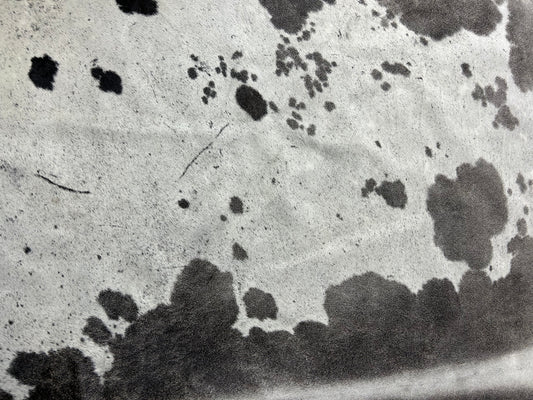 Grey & White Speckled Cowhide Rug Size: 7x6.5 feet D-282