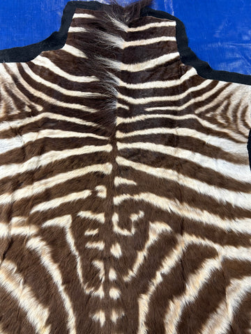 Juvenile Zebra Hide # 9 (Felted/ no head/Tail is 20") Size: 50x49"