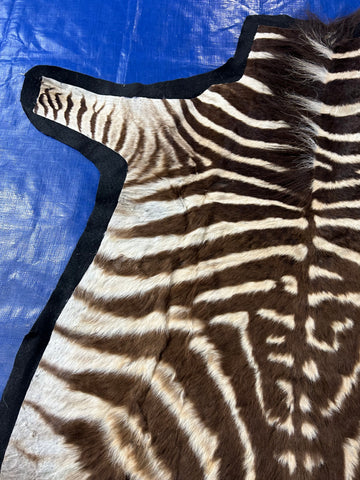 Juvenile Zebra Hide # 9 (Felted/ no head/Tail is 20") Size: 50x49"