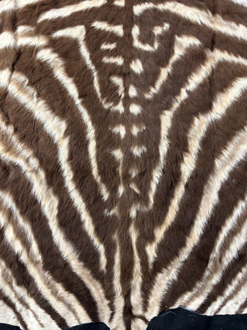 Juvenile Zebra Hide # 9 (Felted/ no head/Tail is 20") Size: 50x49"