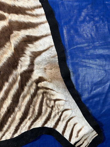 Juvenile Zebra Hide # 9 (Felted/ no head/Tail is 20") Size: 50x49"