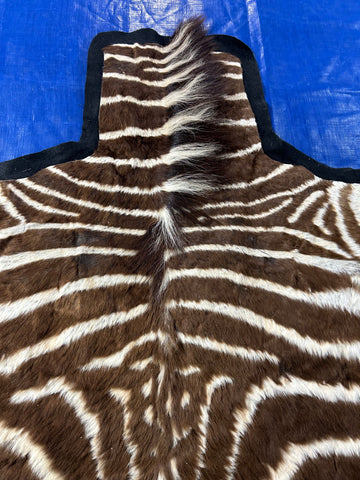 Juvenile Zebra Hide # 10 (Felted/ no head/Tail is 20"/one repair) Size: 52x50"