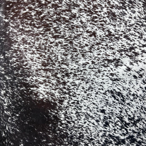 Chocolate & White Speckled Cowhide Rug Size: 8x7 feet D-755