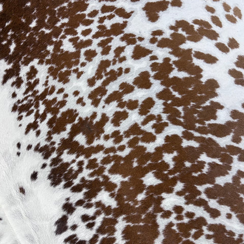 Spotted Brown & White Cowhide Rug Size: 7x7 feet D-757