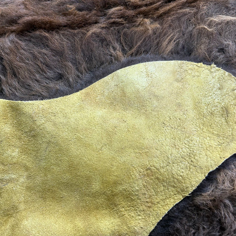 Bison Skin (GORGEOUS MANE! Super long fur around the neck, Nice tail, One small hole) Size: 7x7 feet # 100