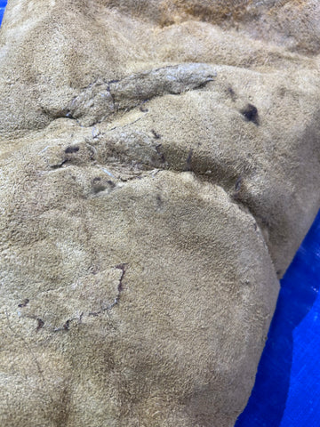 Bison Skin (GORGEOUS MANE! Super long fur around the neck, Nice tail, One small hole) Size: 7x7 feet # 100