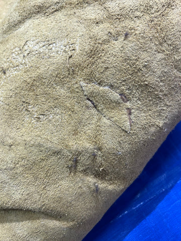 Bison Skin (GORGEOUS MANE! Super long fur around the neck, Nice tail, One small hole) Size: 7x7 feet # 100