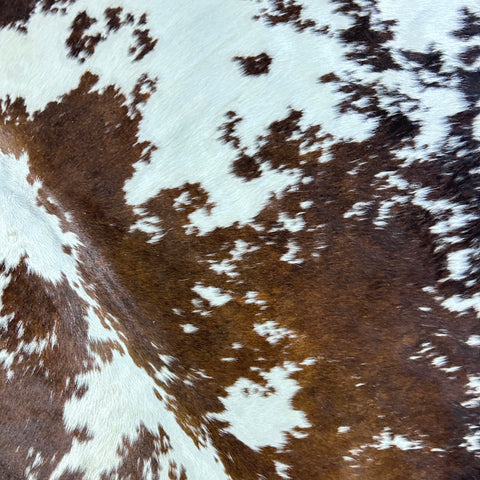 Brown & White Speckled Cowhide Rug Size: 7x6 feet D-759