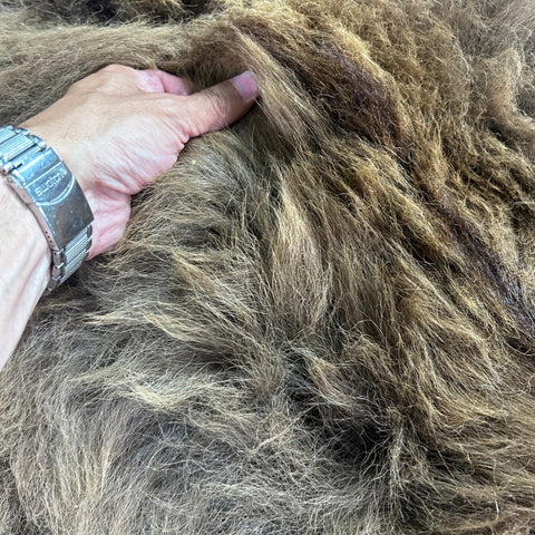 Bison Skin (NICE MANE! Super long fur around the neck, Nice tail) Size: 8x7 feet # 101