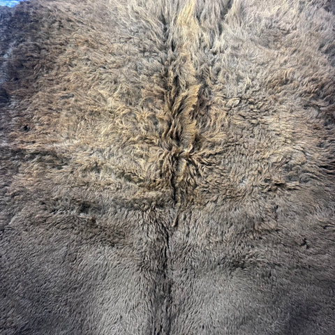 Bison Skin (NICE MANE! Super long fur around the neck Size: 7x6.5 feet # 102