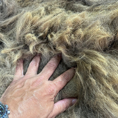 Bison Skin (NICE MANE! Super long fur around the neck Size: 7x6.5 feet # 102