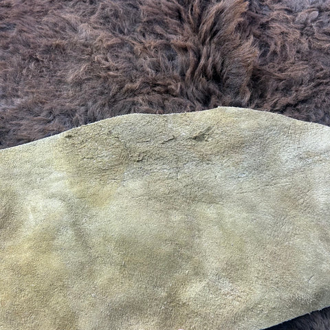 Bison Skin (NICE MANE! Super long fur around the neck Size: 7x6.5 feet # 102
