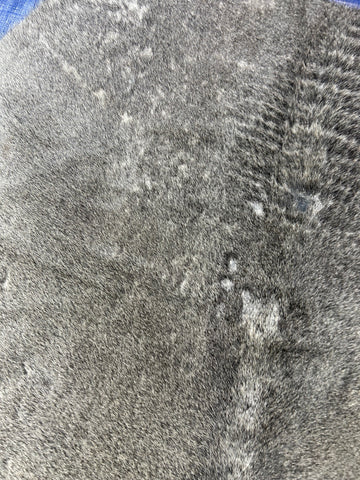 Grey Cowhide Rug (neck area has specs) Size: 6.2x6 feet D-289