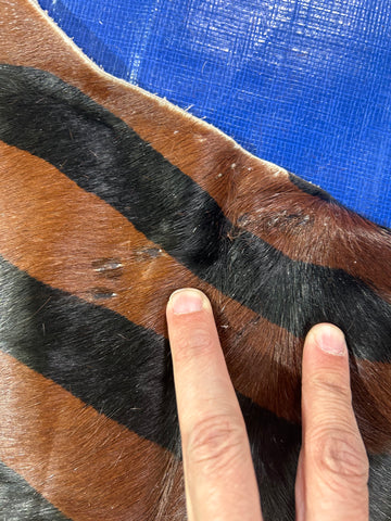 Tapis en peau de vache à imprimé zèbre inversé avec rayures marron (quelques taches - voir photos) Taille : 7,2x7 pieds D-290