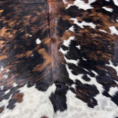 Tricolor Cowhide Rug Size: 8x7 feet D-762