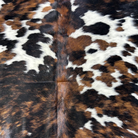 Tricolor Cowhide Rug Size: 8x7 feet D-762