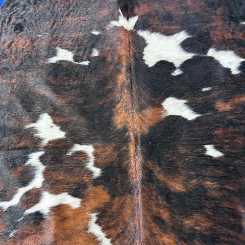 Tricolor Cowhide Rug Size: 8x7 feet D-764