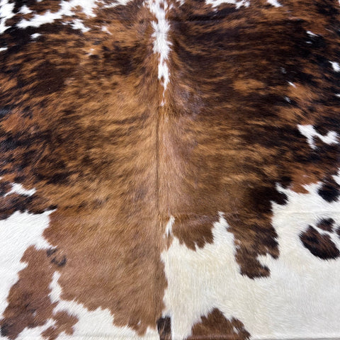 Tricolor Cowhide Rug Size: 8x7 feet D-765