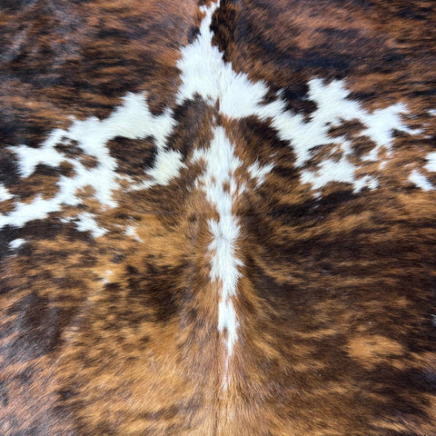 Tricolor Cowhide Rug Size: 8x7 feet D-765